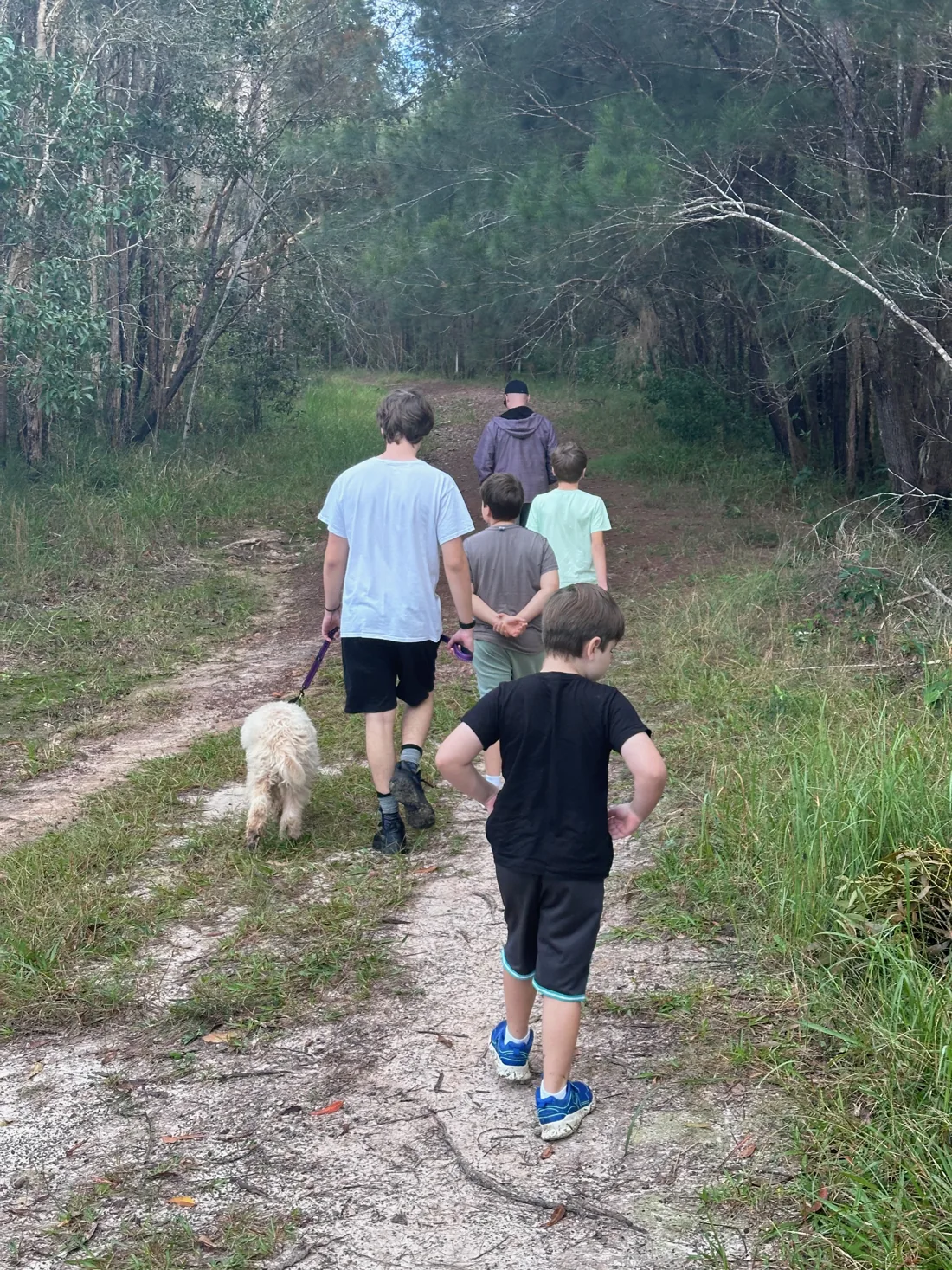 Sally’s four boys and family walking away along a bush track with Wilbur the dog